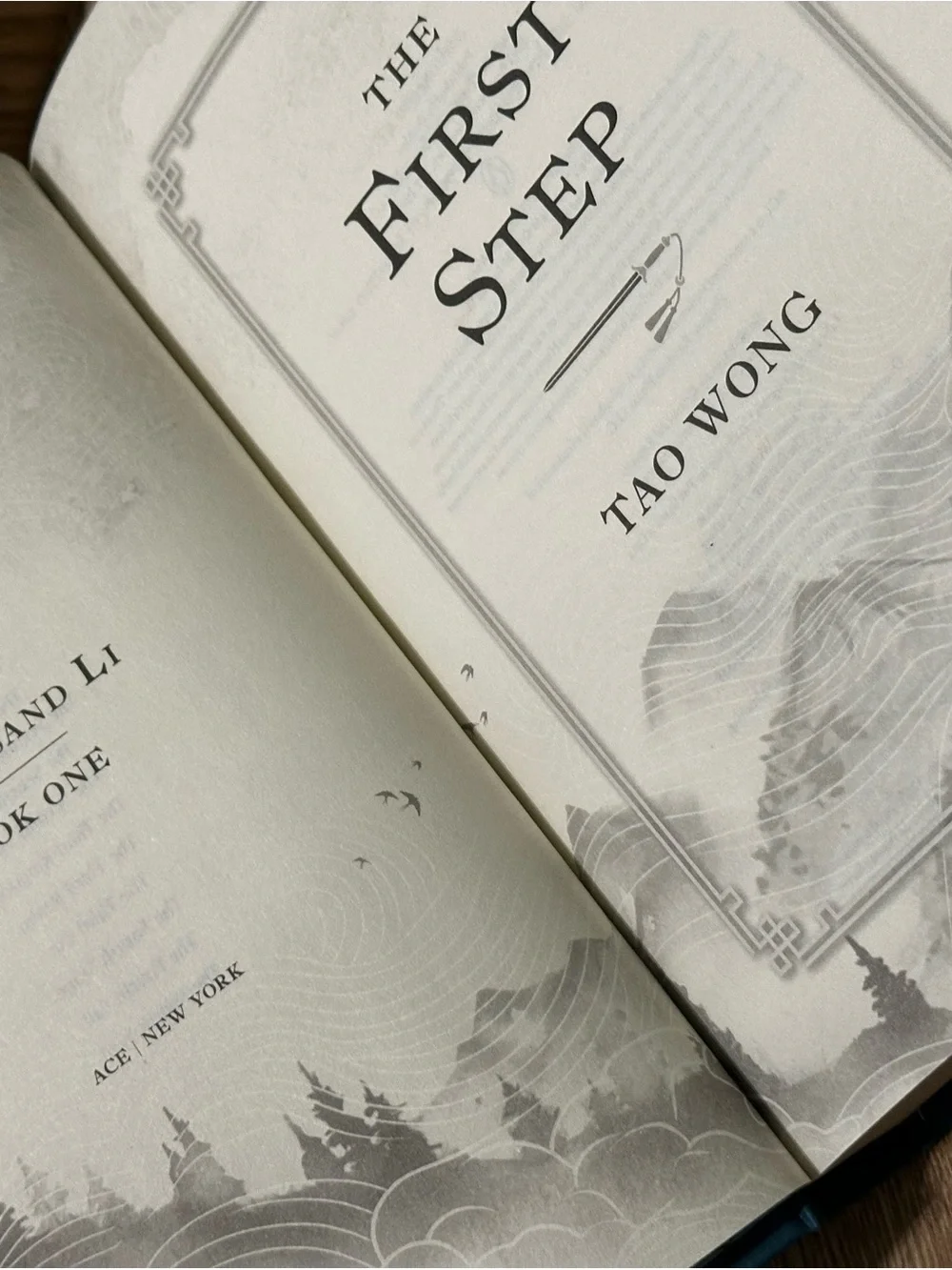 The First Step by Tao Wong - Hardcover - Picture 6 of 11
